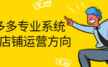 拼多多专业系统给你店铺运营方向Z001